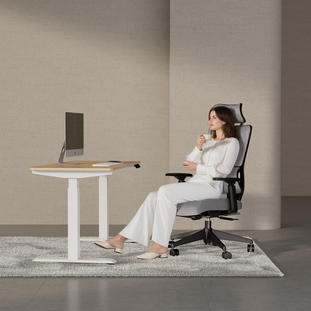 Boori Oscar Ergonomic Mesh Chair