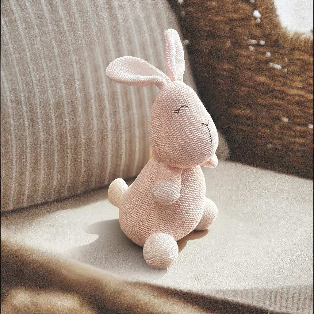 Rory Rabbit Soft Toy and Blanket Gift