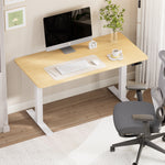 Leo Electric Sit and Stand 1.4m Desk