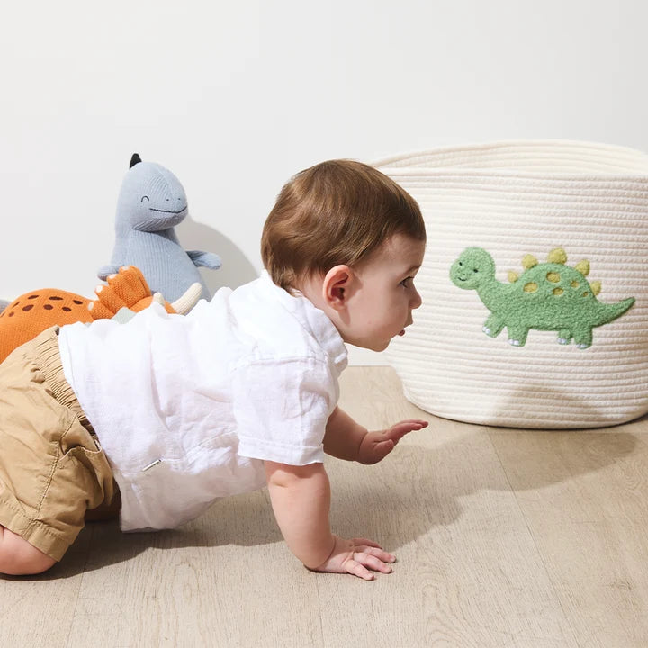 Cotton Rope Embroidered Hamper - Dinosaur