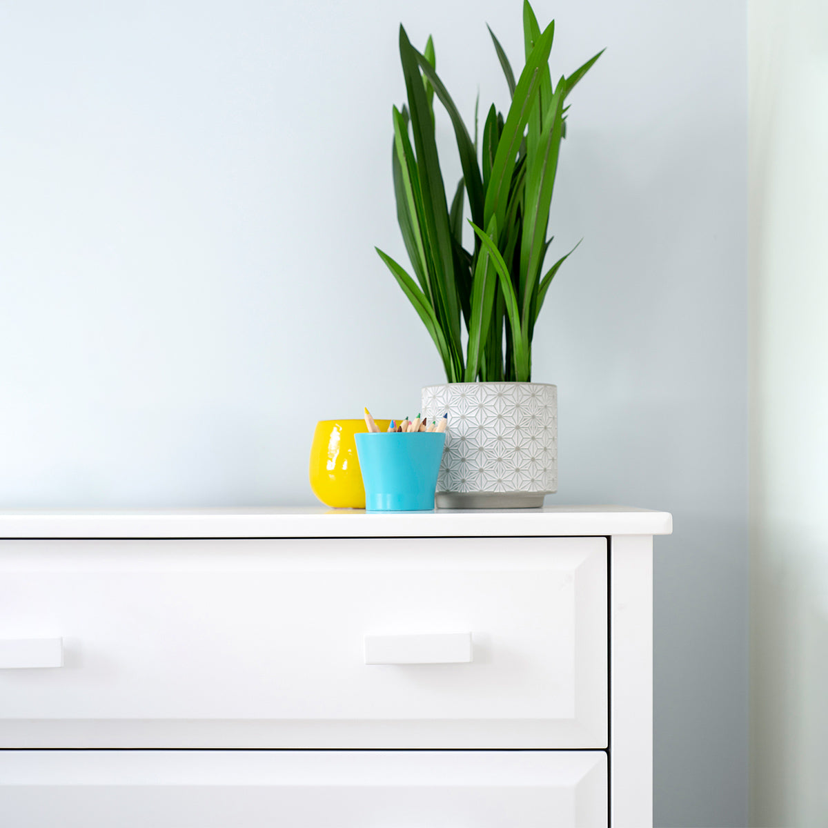 Boori 3 Drawer Dresser (WAREHOUSE COLLECTION ONLY) (Clearance)