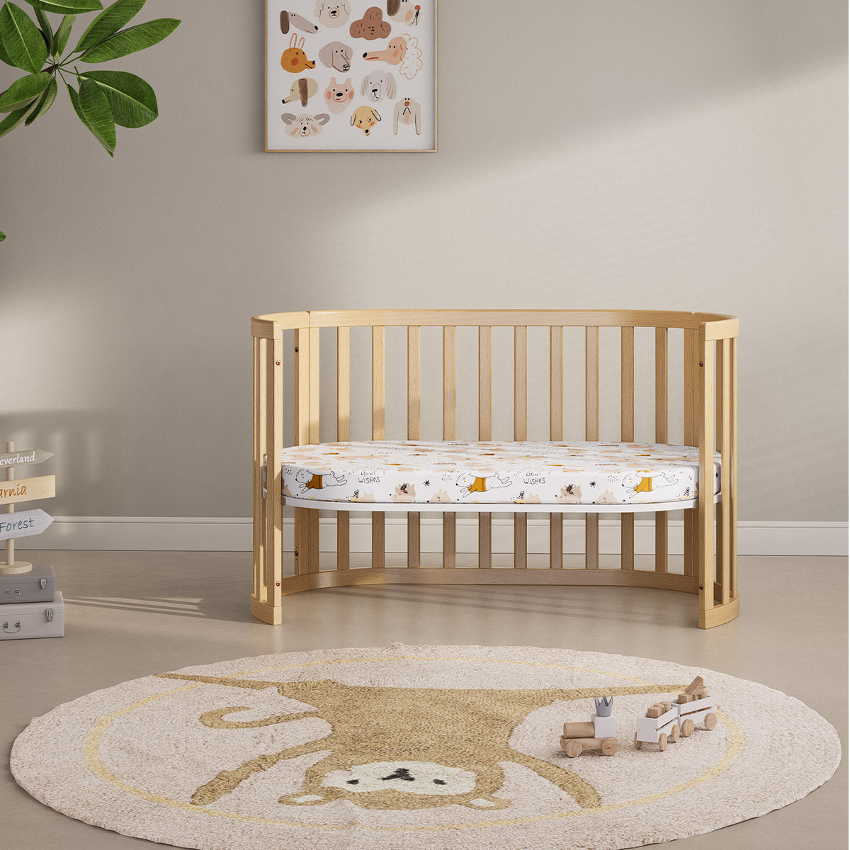 Eden Oval Cot