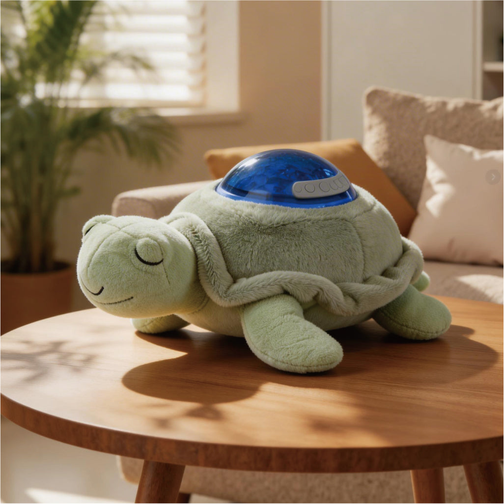 Turtle Rotating Projector