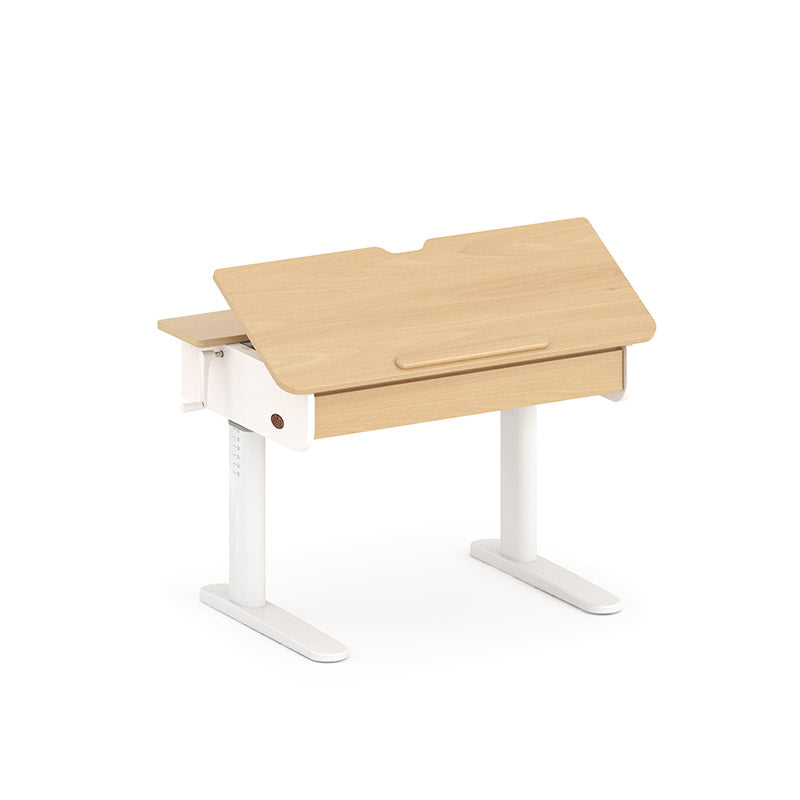 Ergonomic Desk (100cm)