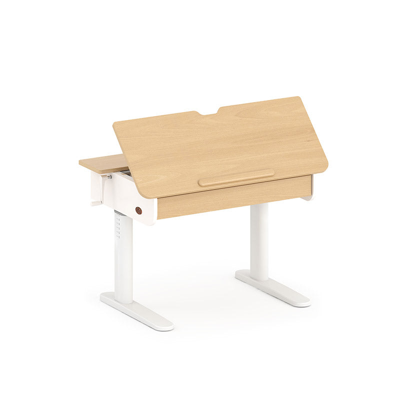 Ergonomic Desk (100cm)