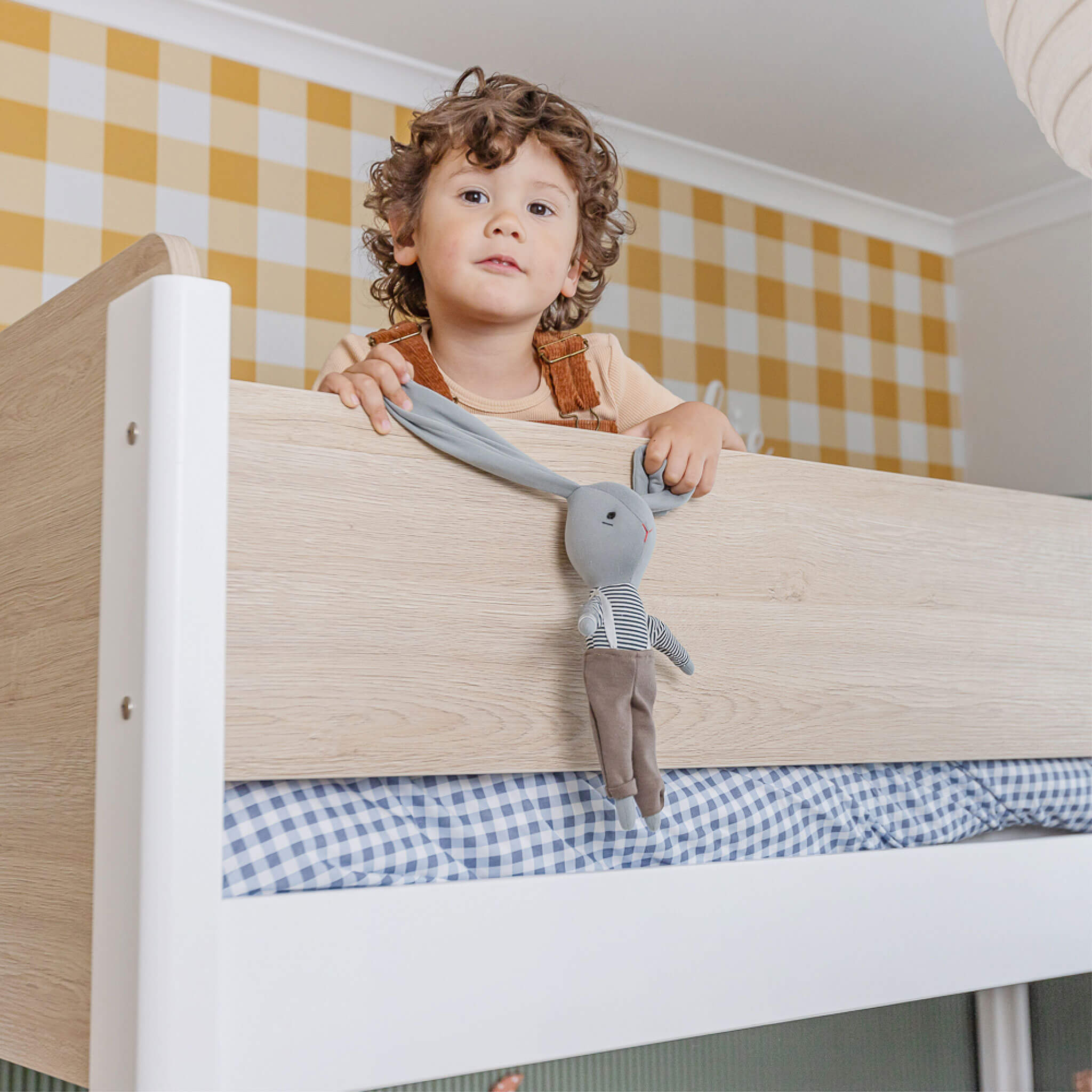 Natty King Single Loft + Ladder