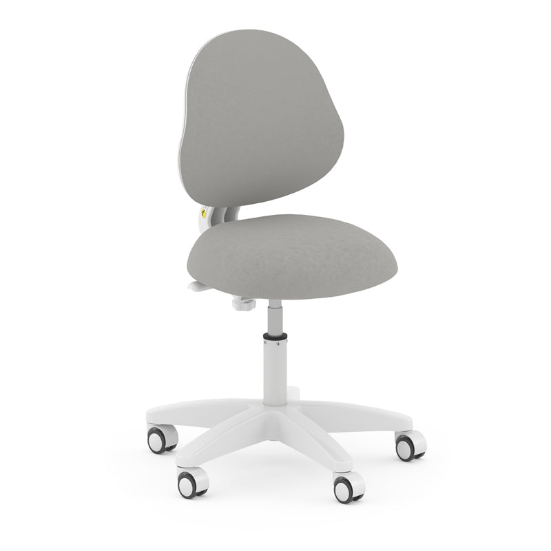 Boori Ergonomic Study Chair