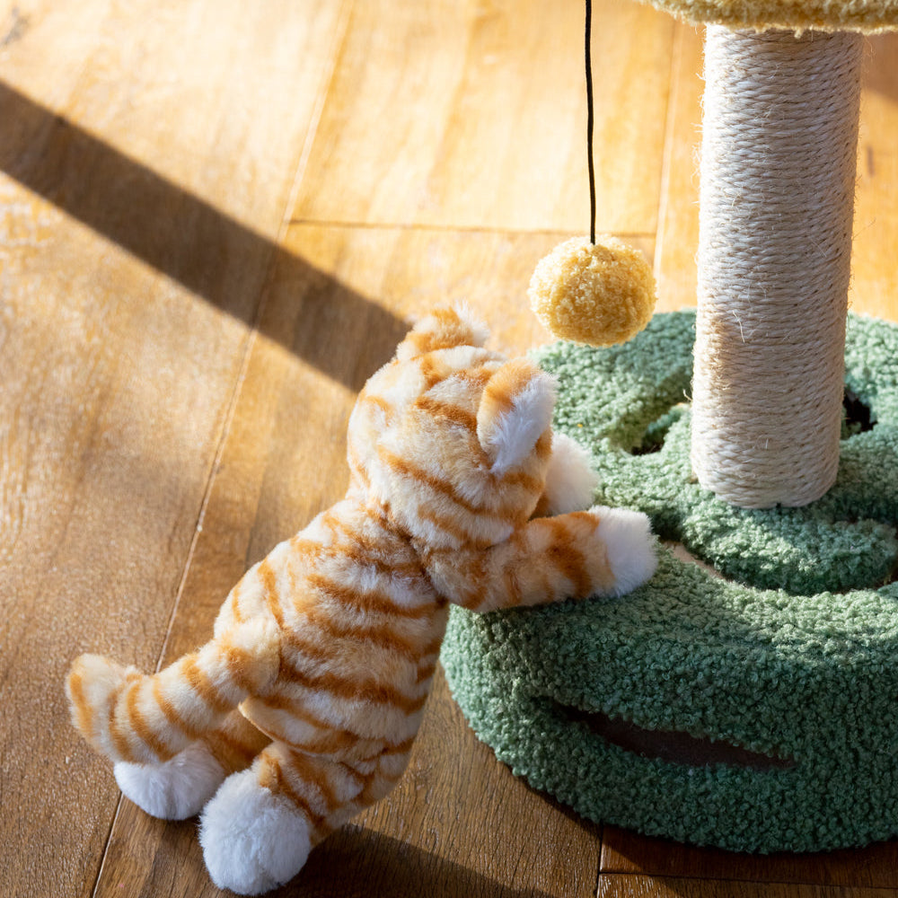 Nana Huchy Ginger the Cat