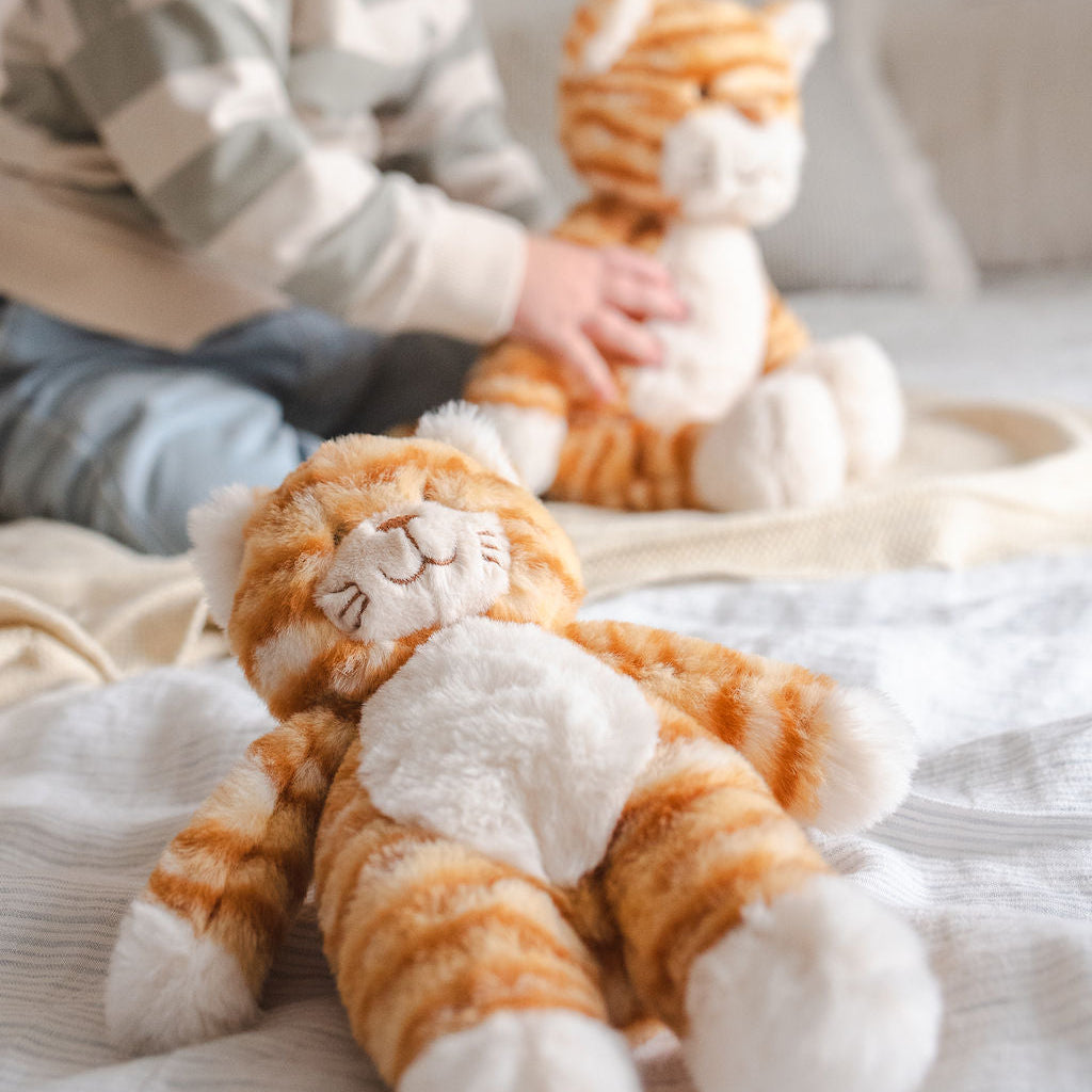 Nana Huchy Ginger the Cat