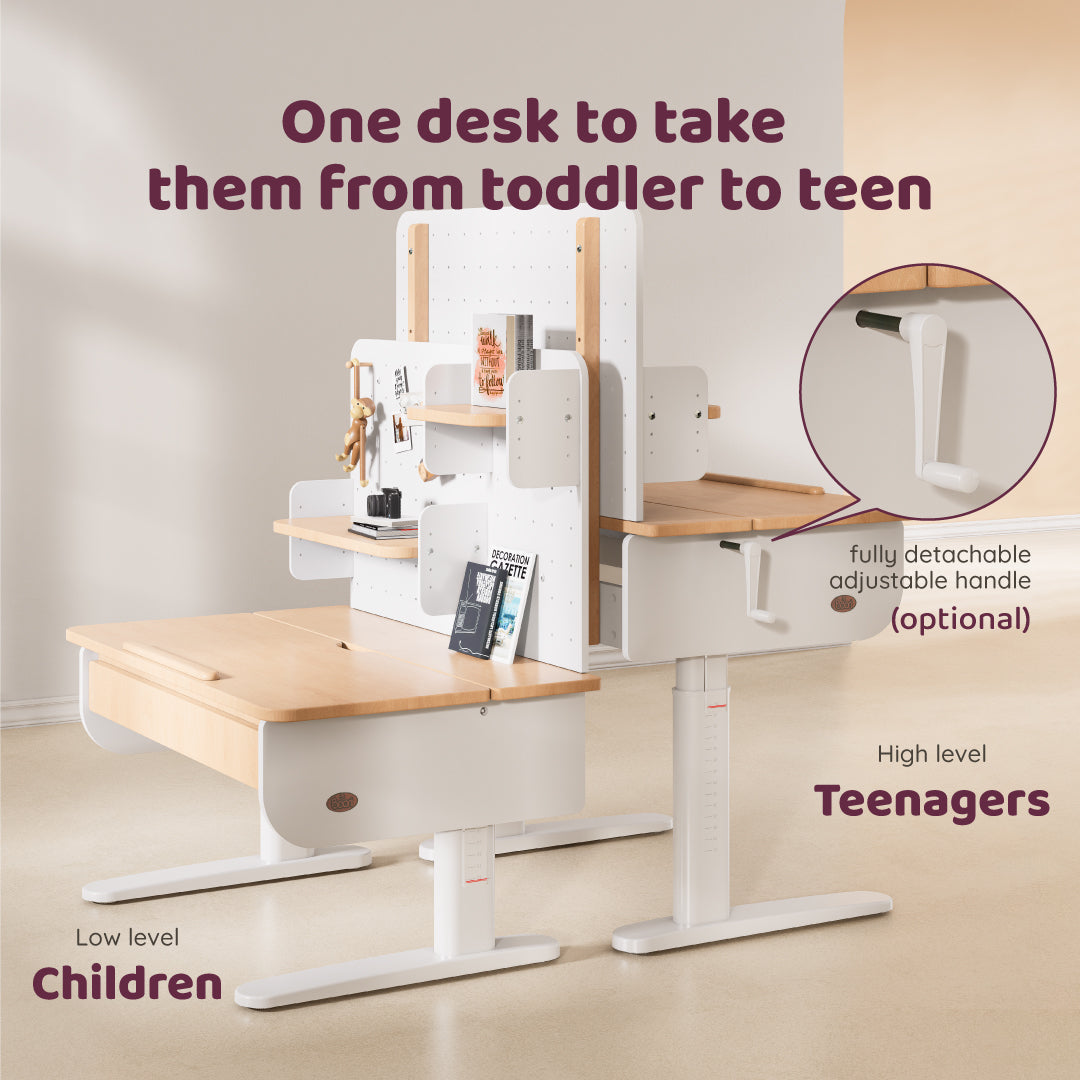 Ergonomic Desk (118cm) with Pegboard Hutch Package