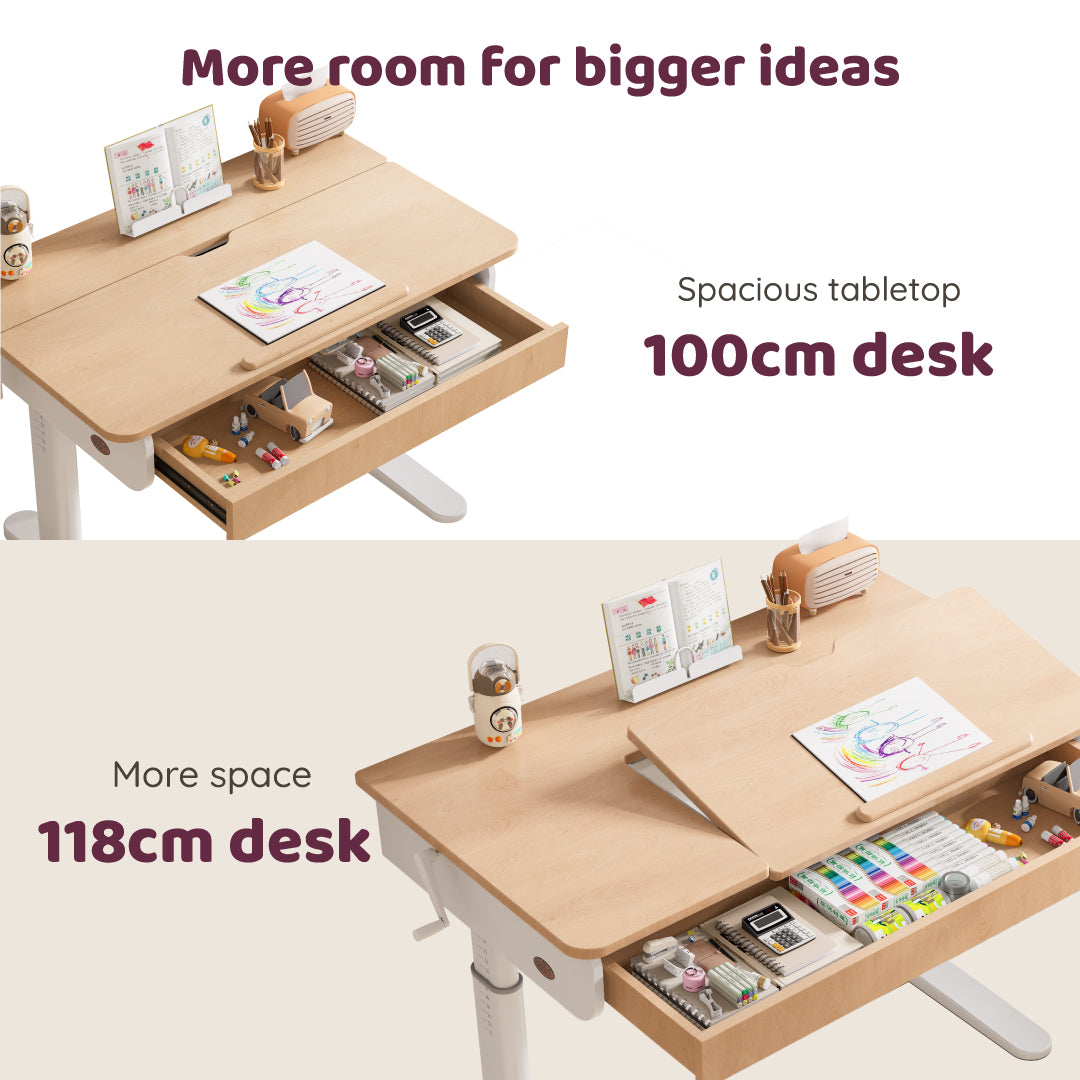 Ergonomic Desk (118cm)