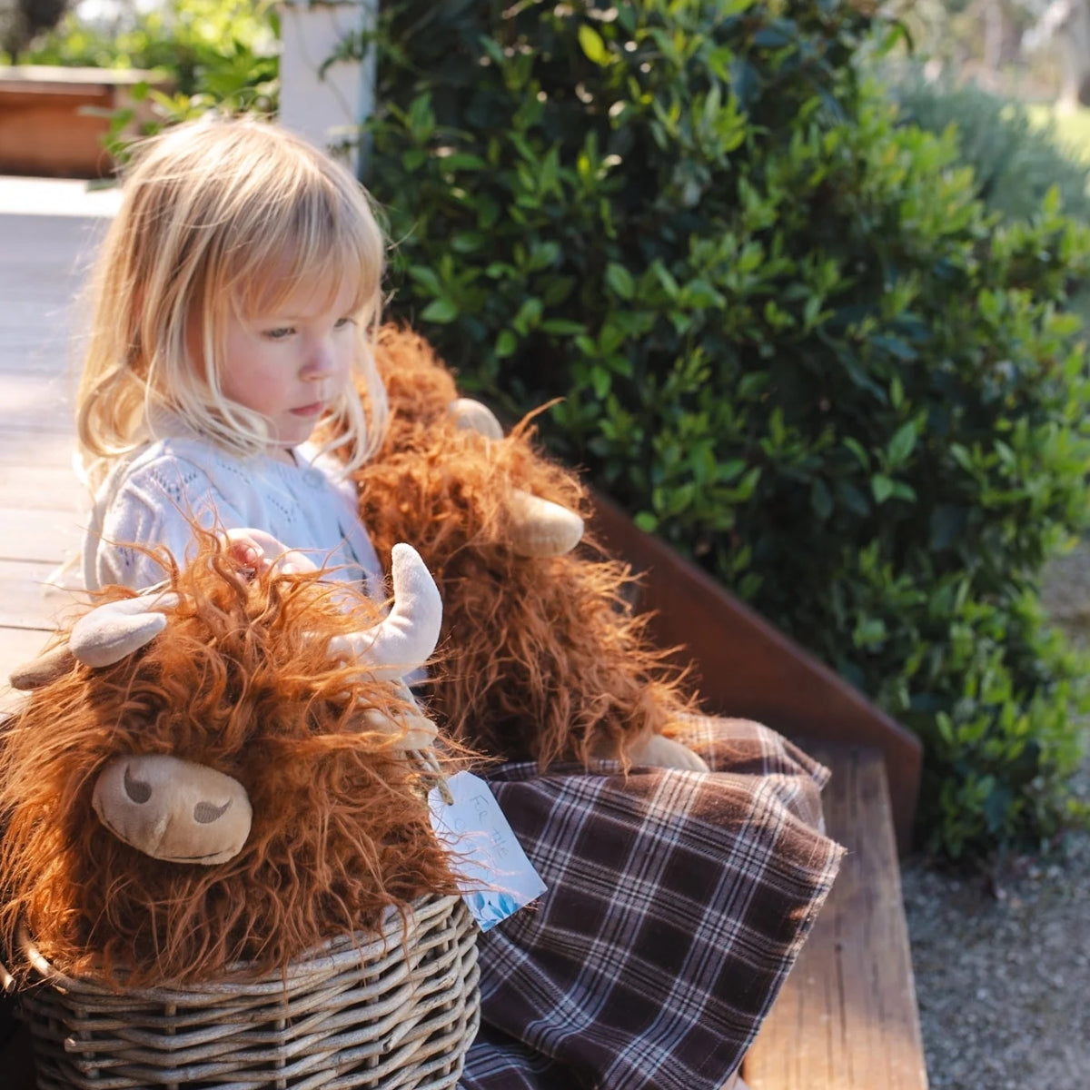 Nana Huchy Heidi the Highland Cow - Rust