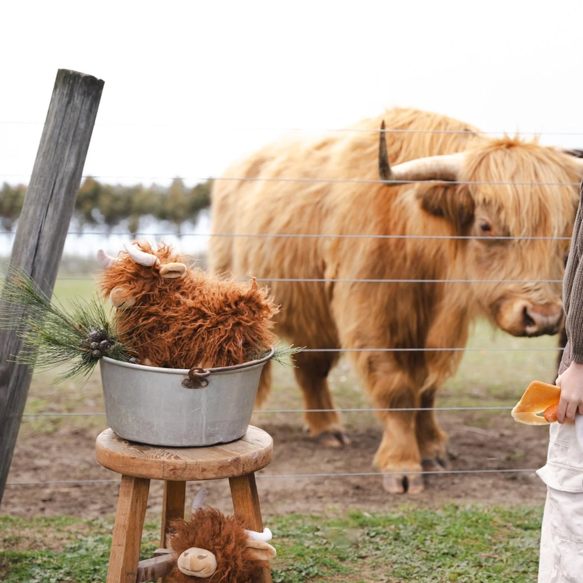 Nana Huchy Heidi the Highland Cow - Rust