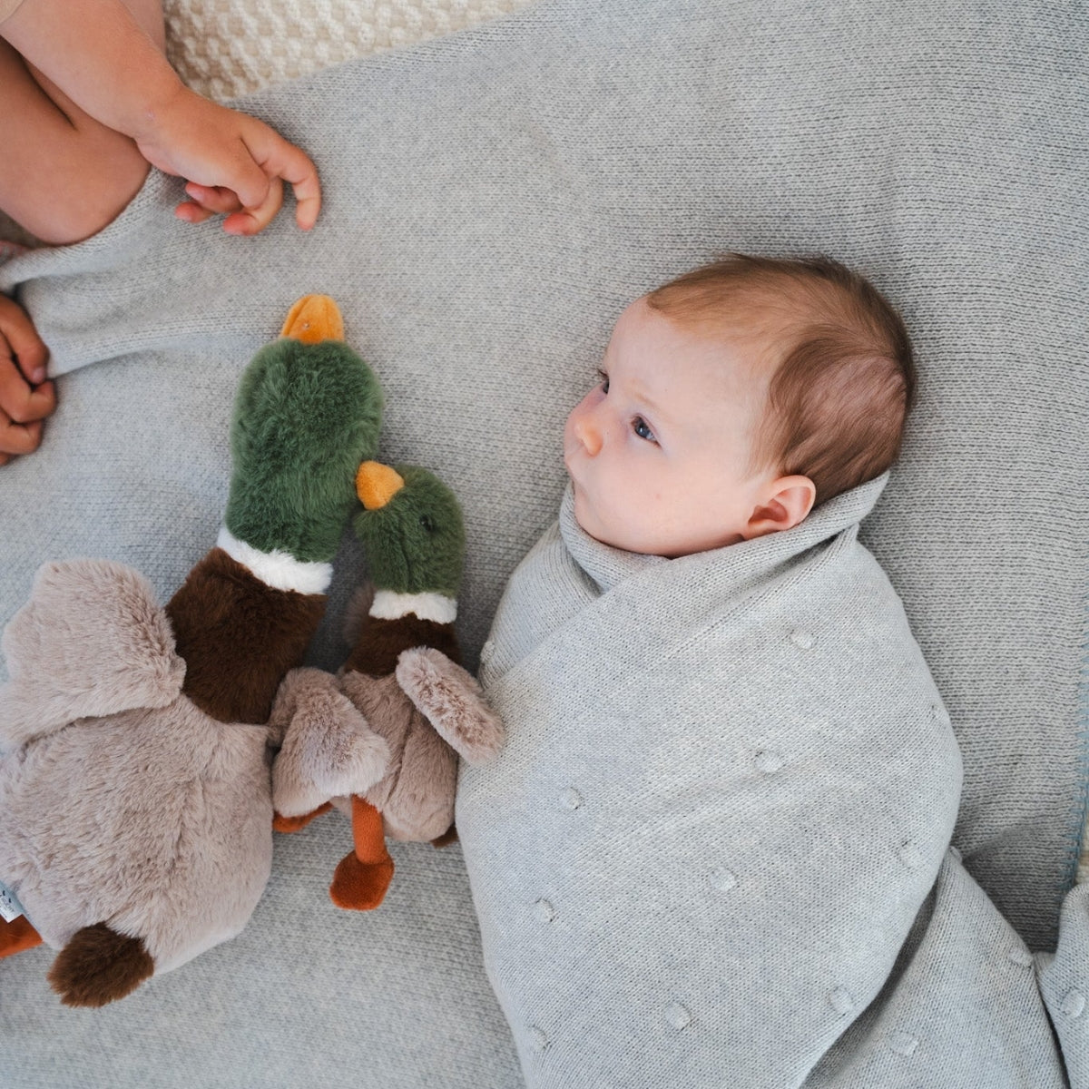 Nana Huchy Hugo the Mallard Duck