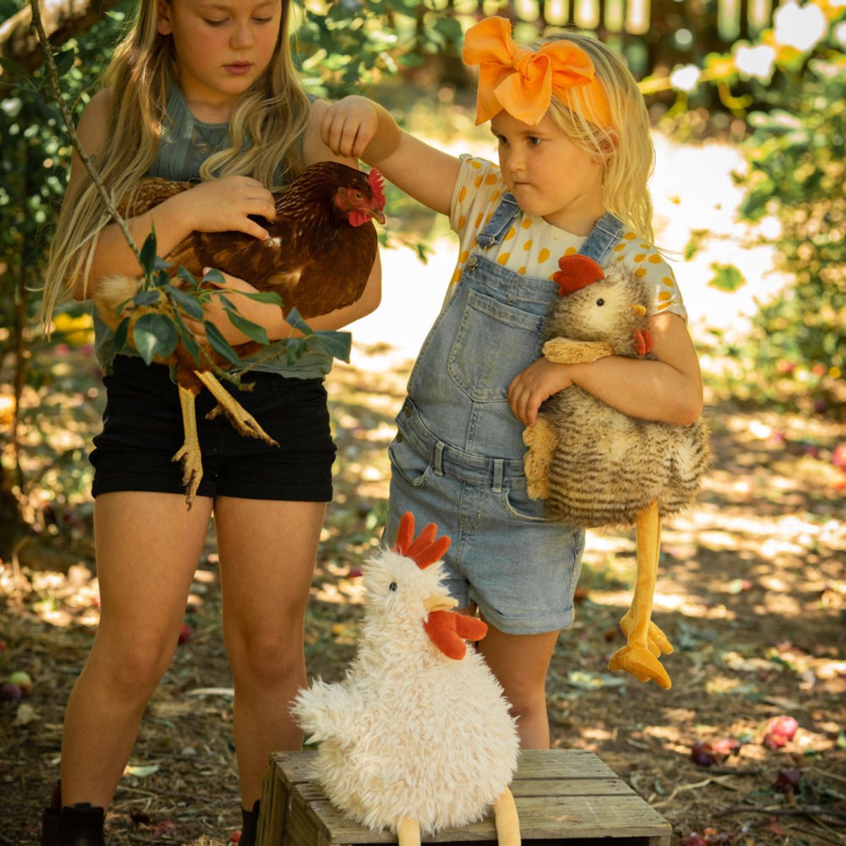 Nana Huchy Roy the Rooster