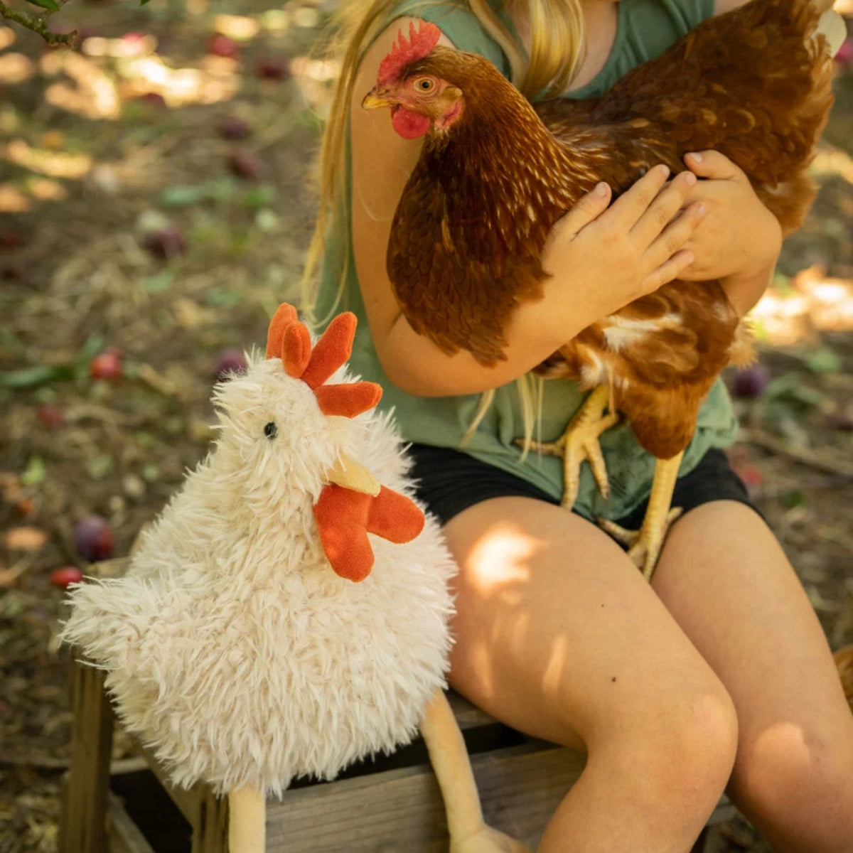 Nana Huchy Roy the Rooster