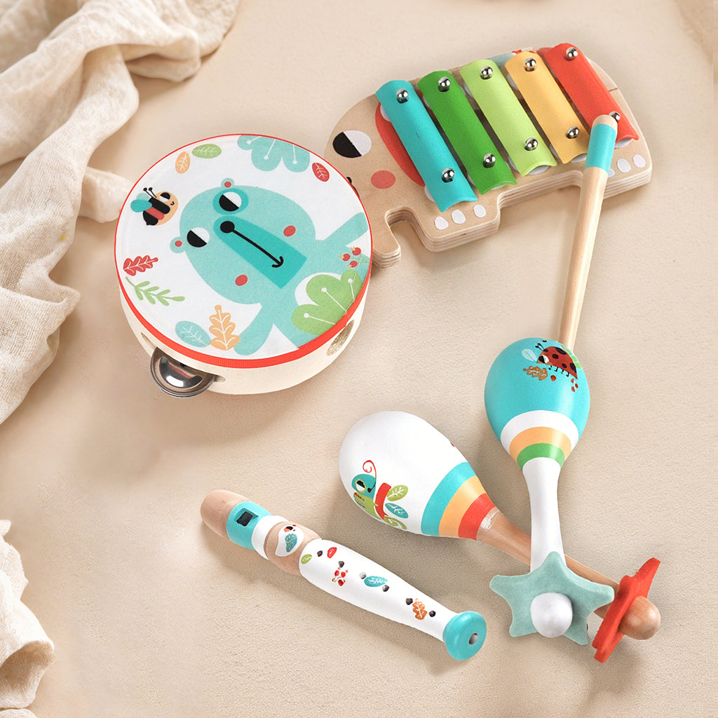 Tooky Toy Music Instrument Set