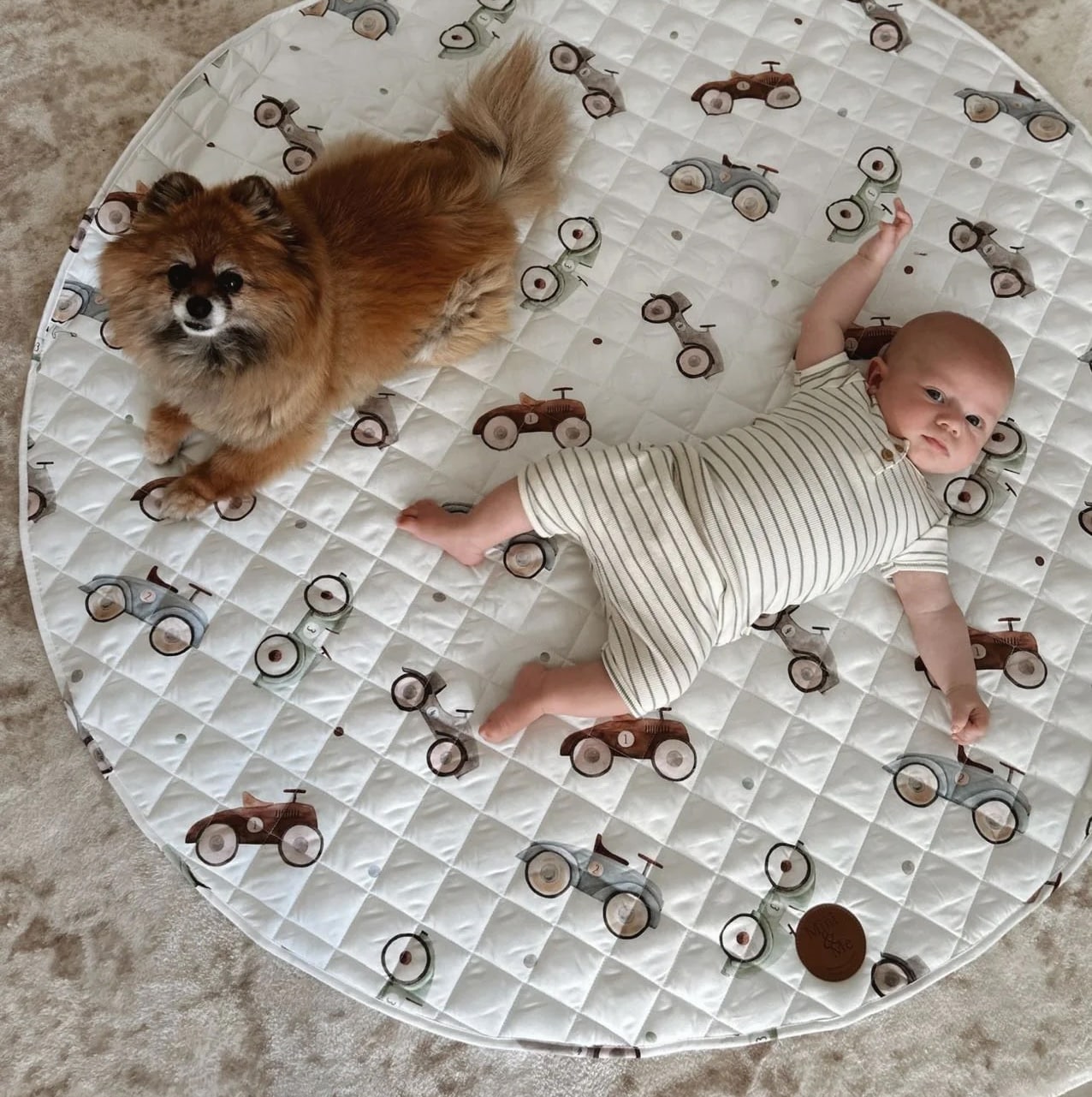 Cuddle Bug Padded Waterproof Playmat - Cars