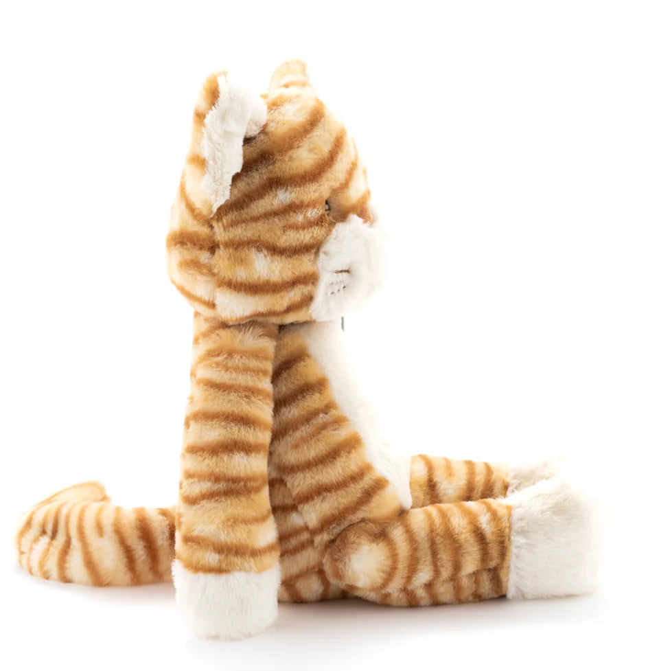 Nana Huchy Ginger the Cat