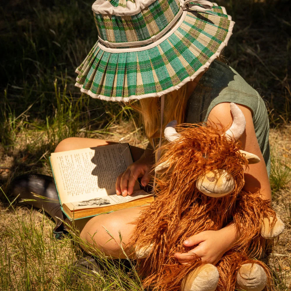Henry the Highland Cow