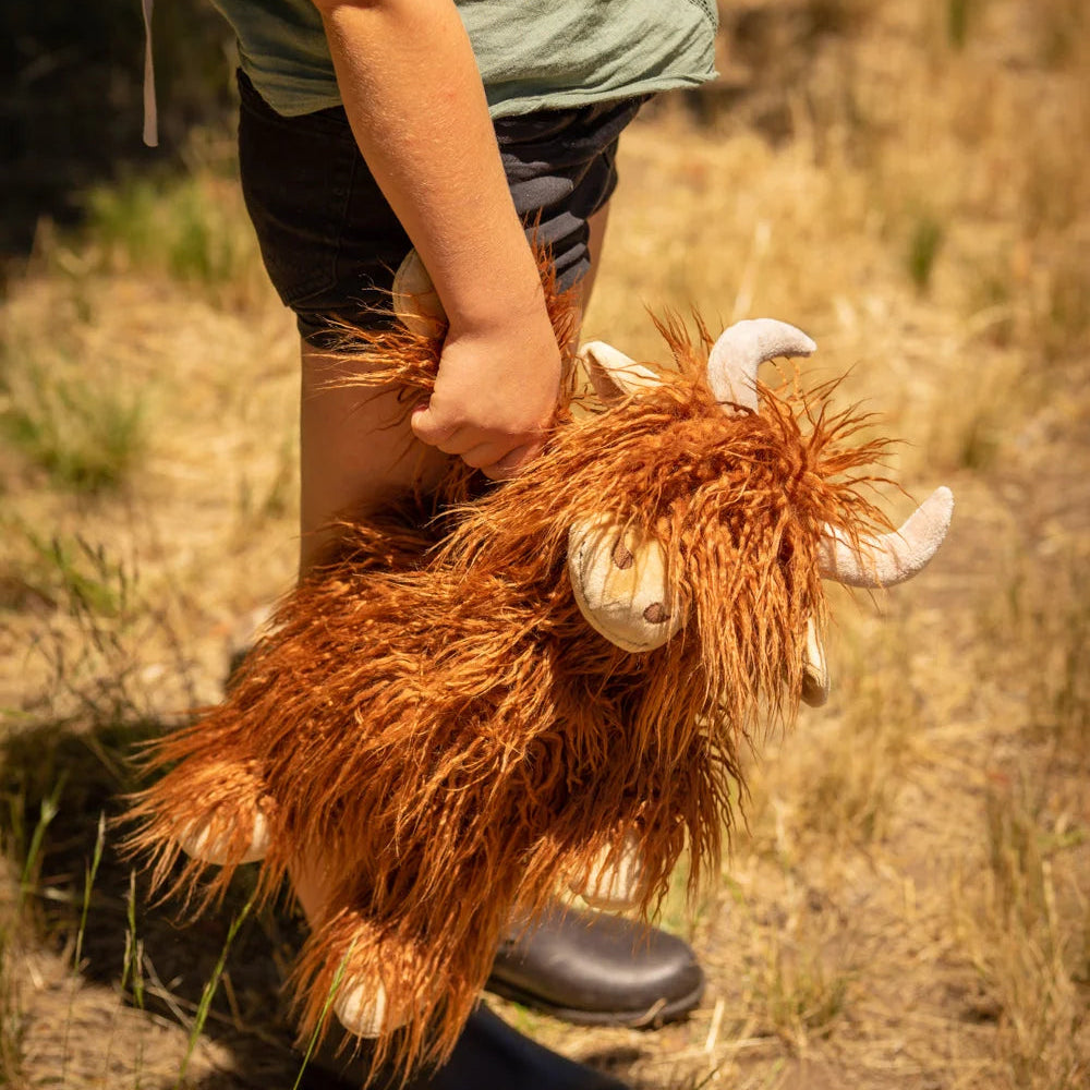 Henry the Highland Cow