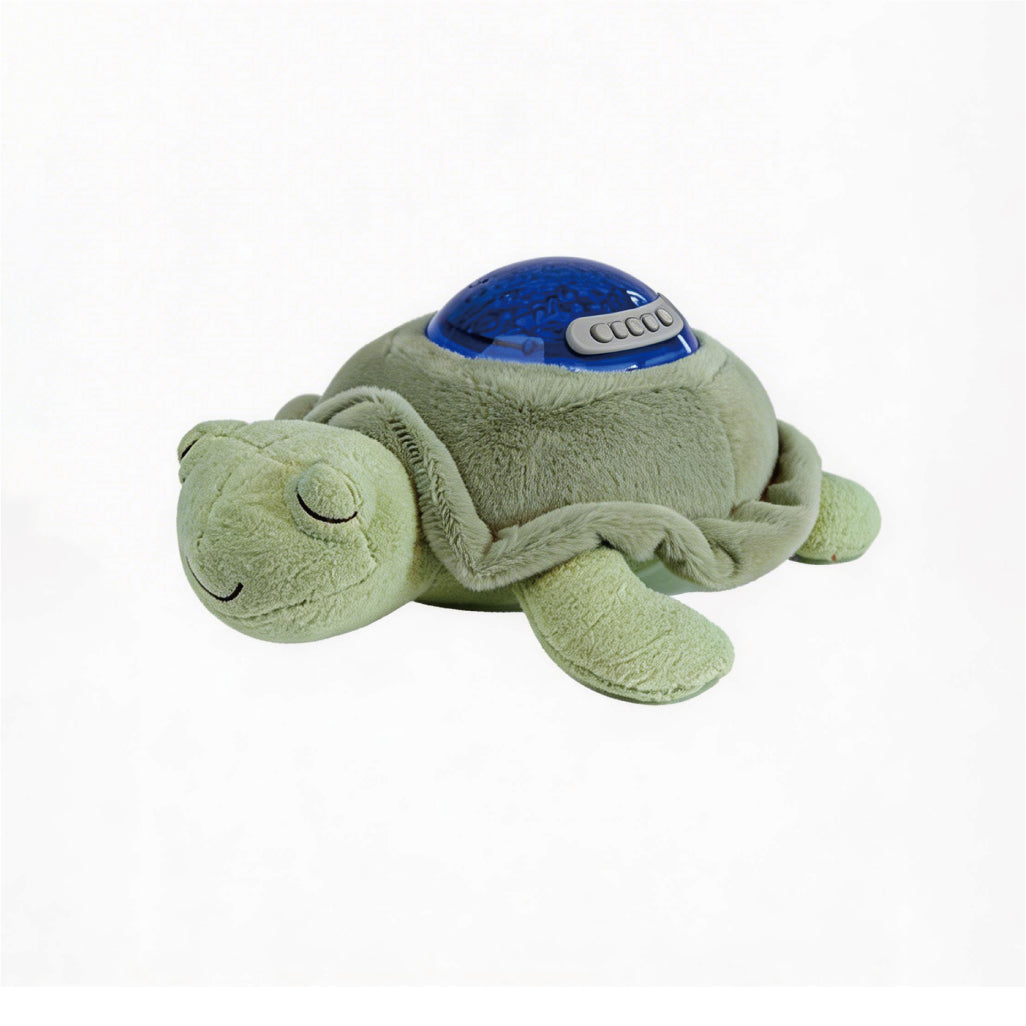 Turtle Rotating Projector