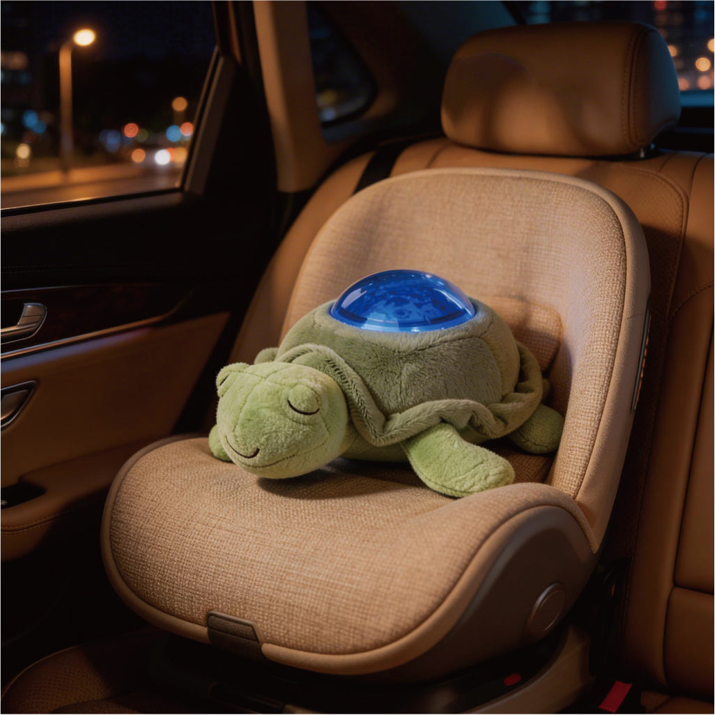 Turtle Rotating Projector